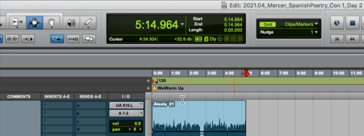 Screen shot of a ProTools audio session