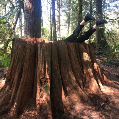 A large redwood stump. Legs with black pants and black shoes sticking out of it, up and to the right.