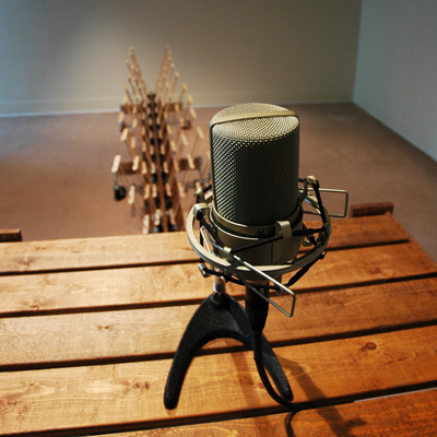 A microphone on a wooden slatted surface, with a sculptural form extending below it.