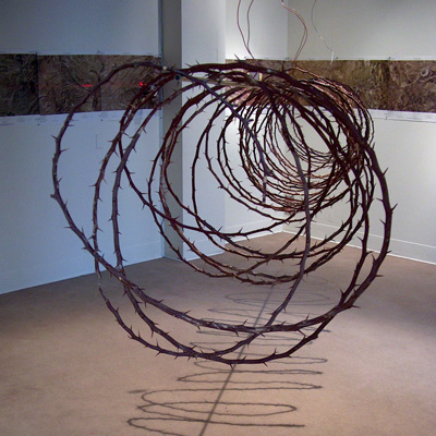 A coil of thorned vines suspended in a room with white walls. Brown images are mounted on the walls in a line.