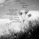 Black and white photo of grasses and sky. Text reads 01.07.26. Unpoetry. Jack Straw. 7:30 pm. Fern Pac Reyes, Hannah Rice, Passenger Pigeon, Eric M Acosta, Kole Galbraith, Lauren Rodriguez, Rebecca Brown