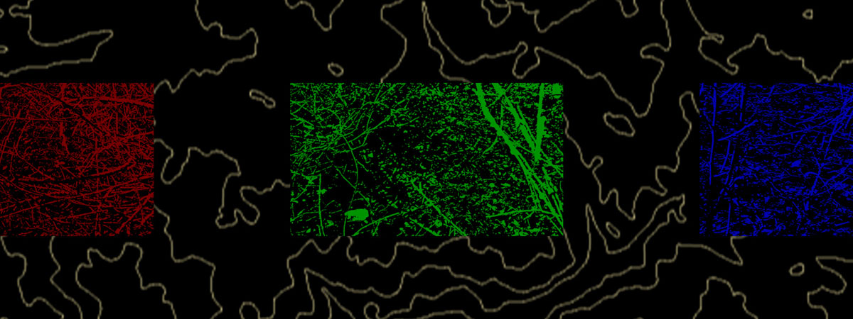 Abstract images that may be of branches in red, green, and blue, over a black background with light brown lines that appear topographical.