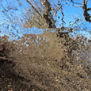 A pixelated, distorted image of ground, trees, and sky