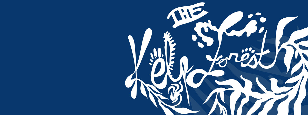 Stylized, seaweed-like white text on a blue background reads The Kelp Forest