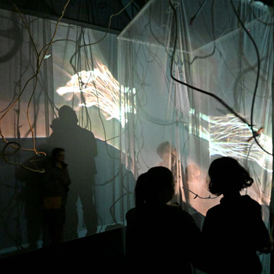 A darkened room with a tall mesh enclosure with images projected on it and shapes like thorny vines in the space around it. Silhouettes of people in the foreground.