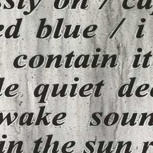 heavy black lower case text on a variegated, gray background. Partial words as well as "blue / i contain it quiet wake in the sun"
