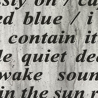 heavy black lower case text on a variegated, gray background. Partial words as well as "blue / i contain it quiet wake in the sun"