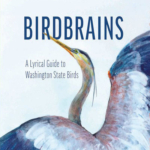A painting of a great blue heron. Text reads Birdbrains: A Lyrical Guide to Washington State.