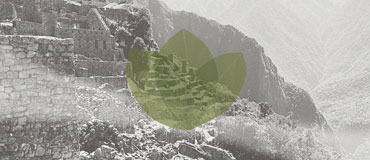 Muted black and white image of a landscape with ancient buildings and mountains. Green three-leaf icon in the middle.