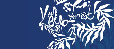 Stylized, seaweed-like white text on a blue background reads The Kelp Forest